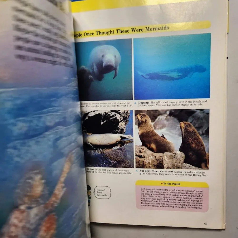 Life in the Water Child's First Library of Learning Science Stem Book Homeschool